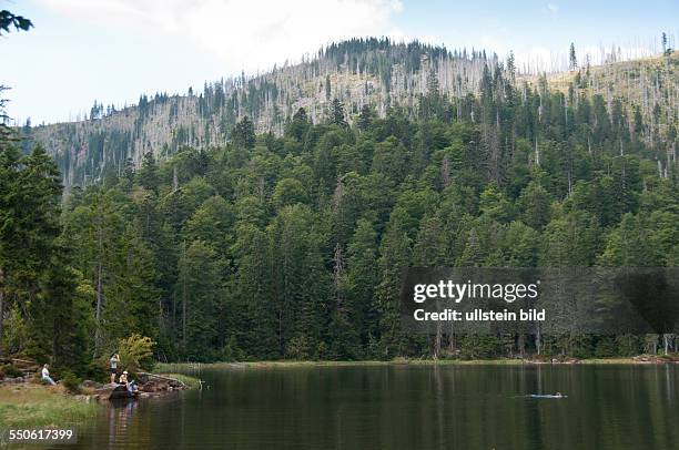 Der Rachelsee liegt etwa 800 Meter südöstlich des Großen Rachel bei Spiegelau im Nationalpark Bayerischer Wald. Der 7,5 Hektar große See ist bis zu...