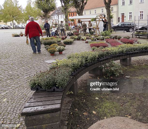 Herbstmarkt Storkow - 4.Hoffest Burg Storkow - Regionaler Bauernmarkt, Alte Handwerkskunst, Kulinarisches und Unterhaltung. Kremserfahrten verbinden...