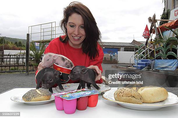 Memleben Erlebnistierpark Nachwuchs bei den Micro Pigs den Micro Schweinen Mikro Schweine , der kleinsten Schweinerasse der Welt . Seit märz 2013...