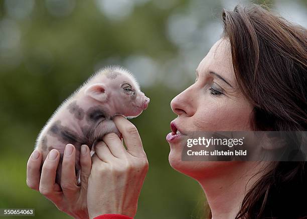 Memleben Erlebnistierpark Nachwuchs bei den Micro Pigs den Micro Schweinen Mikro Schweine , der kleinsten Schweinerasse der Welt . Seit märz 2013...