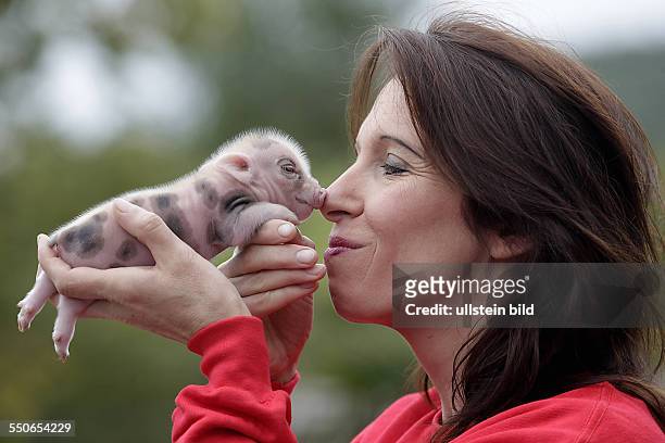 Memleben Erlebnistierpark Nachwuchs bei den Micro Pigs den Micro Schweinen Mikro Schweine , der kleinsten Schweinerasse der Welt . Seit märz 2013...