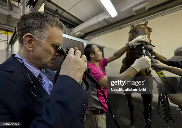 Chris Riggs Father 574 Chris Riggs Stock Photos, High-Res Pictures, and Images - Getty Images