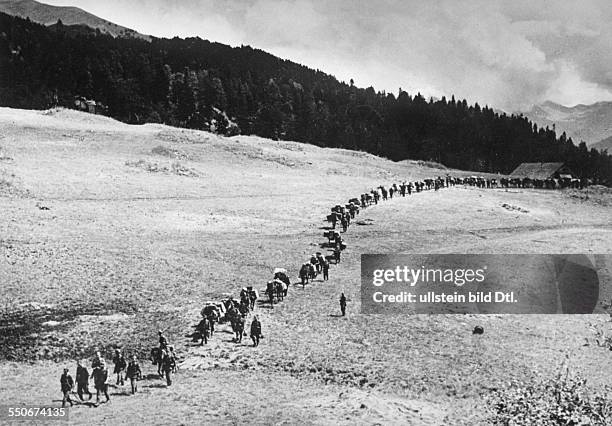 Mountain Division of the German Wehrmacht; mountain infantry at Caucasus