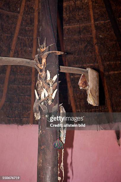 Utensils of Xhosa Sangoma Medicine Man, Wild Coast, Eastern Cap, South Africa