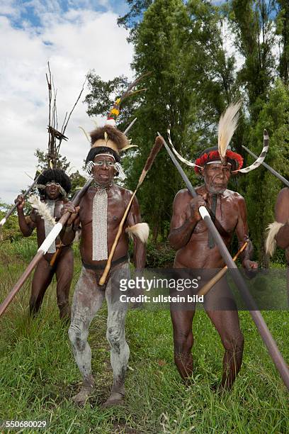Warrior of Dani Tribe, Baliem Valley, West Papua, Indonesia