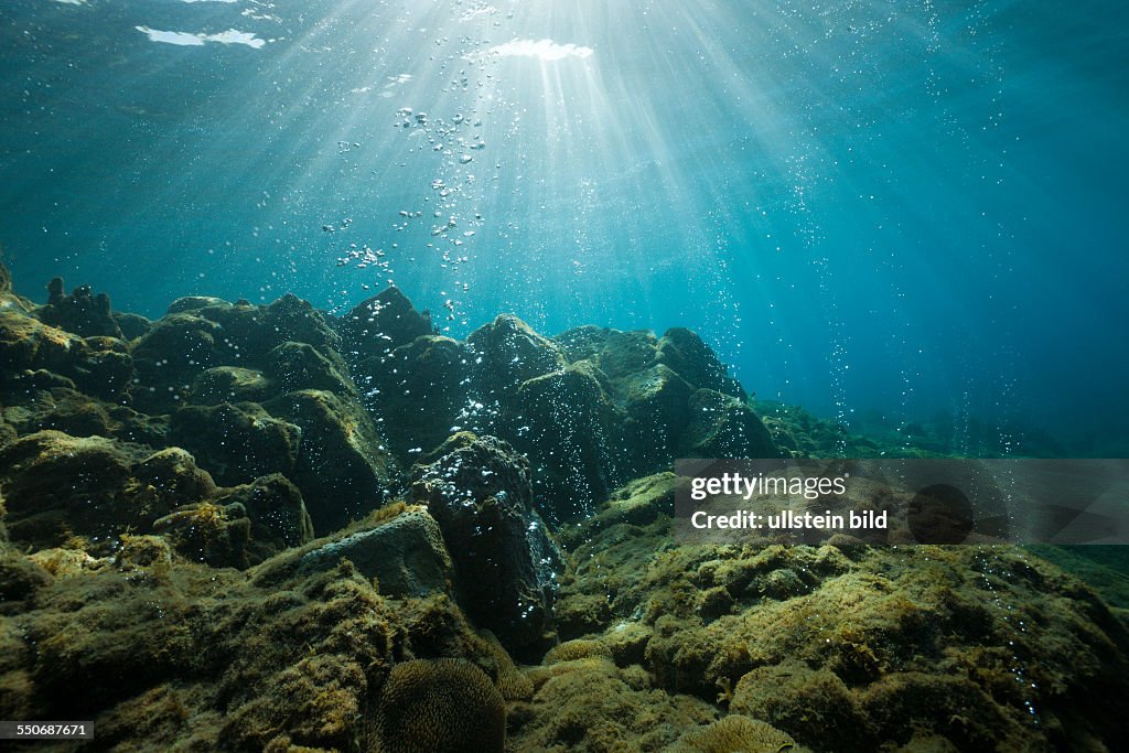 Volcanic Air Bubbles at Champagne Beach, Caribbean Sea, Dominica