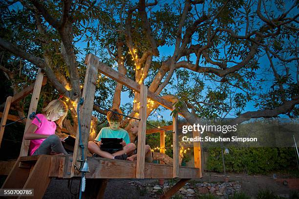 kids in treehouse with digital tablets - tree house stock pictures, royalty-free photos & images