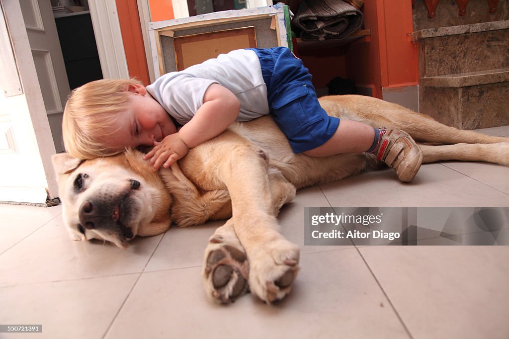 Baby on a dog, cares about dog
