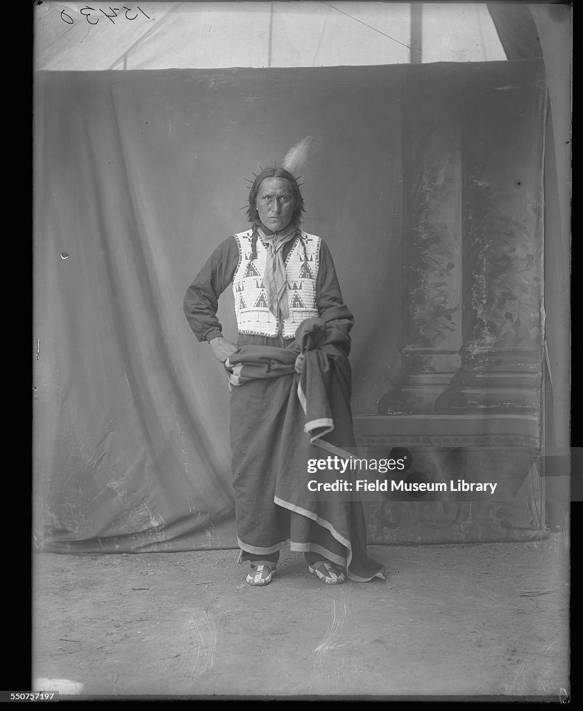 Chief Wolf Robe Portrait of Wolf Robe, a Native American Cheyenne, wearing a blanket ...