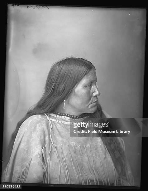 Portrait of Mrs Buffalo Fat, a Native American Arapaho woman, aged 40, with her hair down and wearing a fringe and buckskin or rawhide dress, with...