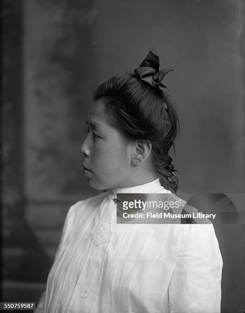 Portrait of Lulu Bigwalker Age, a seventeen year old Native American Sauk and Fox woman, wearing western dress at the Louisiana Purchase Exposition,...