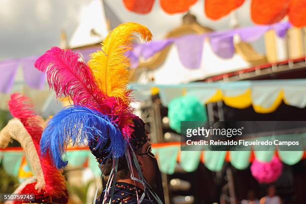 carnaval a cavalo - cavalo stock-fotos und bilder