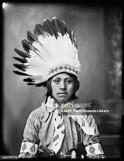Portrait of a Native American Jicarilla Apache young boy named Deloya Tafoya wearing a feather headdress at the Louisiana Purchase Exposition, St...