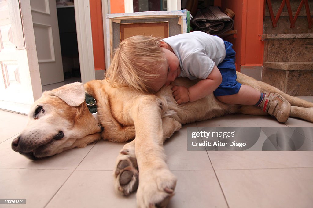 Baby boy on a dog.