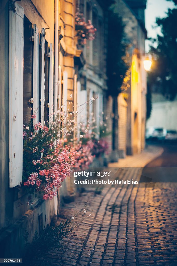 Street with flowers in facades