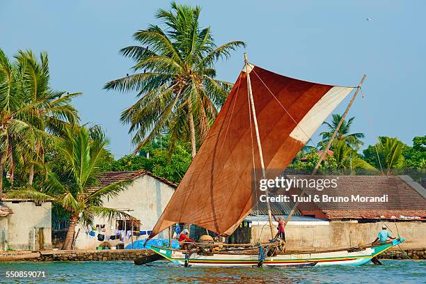 sri lanka, western province, negombo, catamaran - negombo stock pictures, royalty-free photos & images