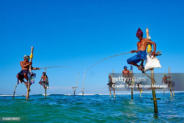 sri lanka, weligama, stilt fishermen on the coast - sri lanka fisherman stock pictures, royalty-free photos & images