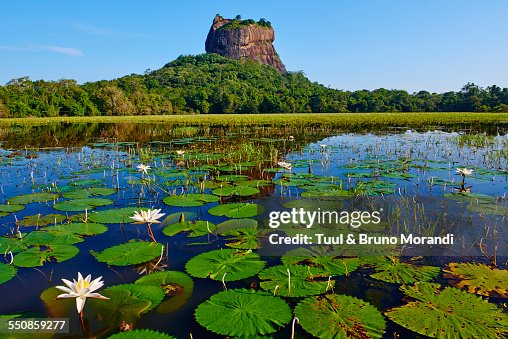 Sri Lanka, Sigiriya Lion Rock fortress Sri Lanka, Sigiriya Lion Rock fortress