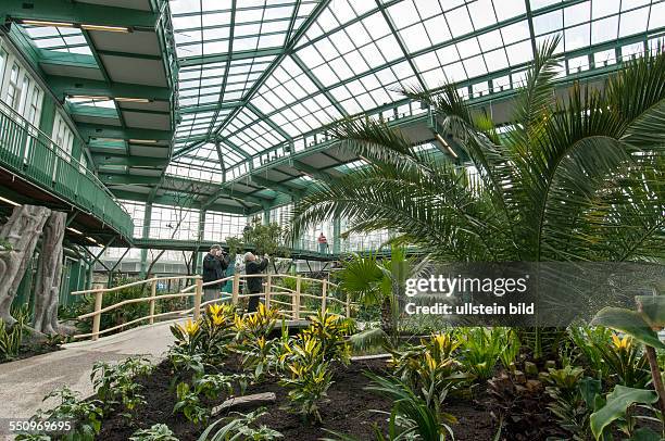 Nach umfangreichen Umbauarbeiten und energetischer Sanierung ist die Tropenhalle im Alfred-Brehm-Haus im Tierpark Berlin-Friedrichsfelde am wieder...