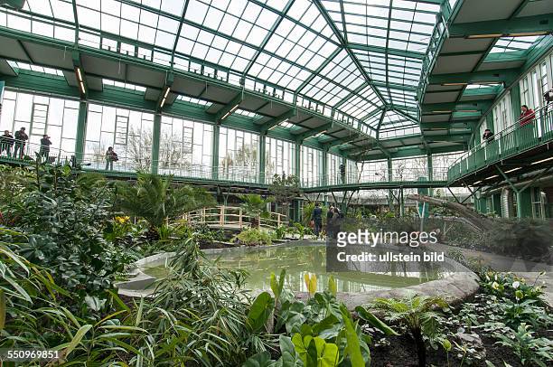 Nach umfangreichen Umbauarbeiten und energetischer Sanierung ist die Tropenhalle im Alfred-Brehm-Haus im Tierpark Berlin-Friedrichsfelde am wieder...