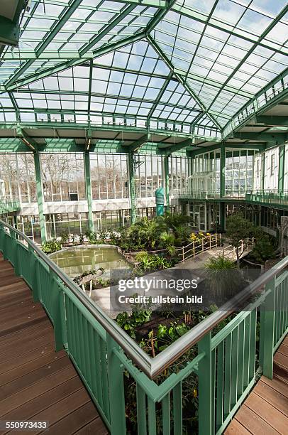 Nach umfangreichen Umbauarbeiten und energetischer Sanierung ist die Tropenhalle im Alfred-Brehm-Haus im Tierpark Berlin-Friedrichsfelde am wieder...