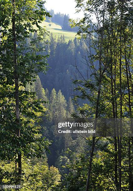 Austria, Lofer: The Saalachtal in Salzburg offers tourists and holiday guests green meadows, Limestone and water for a lot of exercise in the fresh...