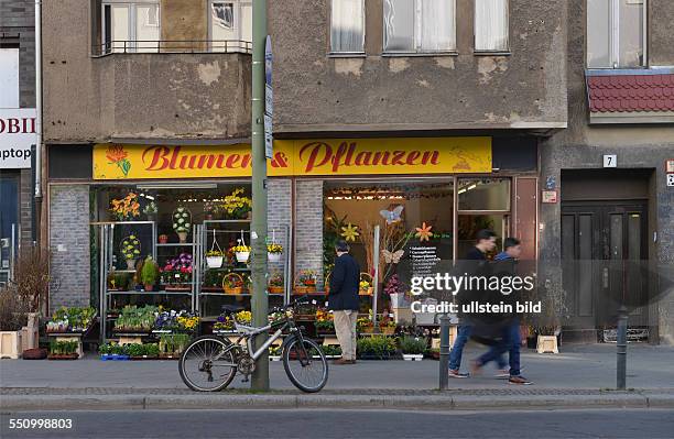 Blumenladen, Kolonnenstrasse, Schoeneberg, Berlin, Deutschland / Schöneberg