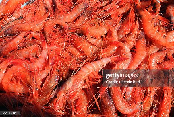 Mallorca, Port de Soller: Fischfang, Garnelen