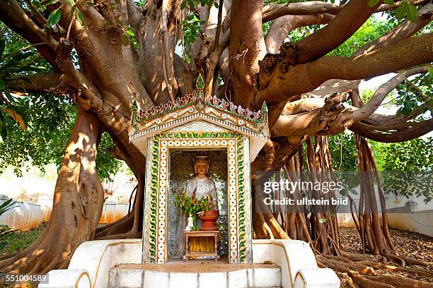 Myanmar, Burma, Birma, Pindaya, Pindaya-Hoehle, Pindaya Cave, Shwe U Min Pagode , ueber 8000 Buddha-Statuten, jede Figur traegt ein kleines Schild...