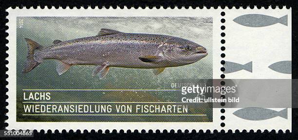 Briefmarke Deutsche Post 2014 Lachs