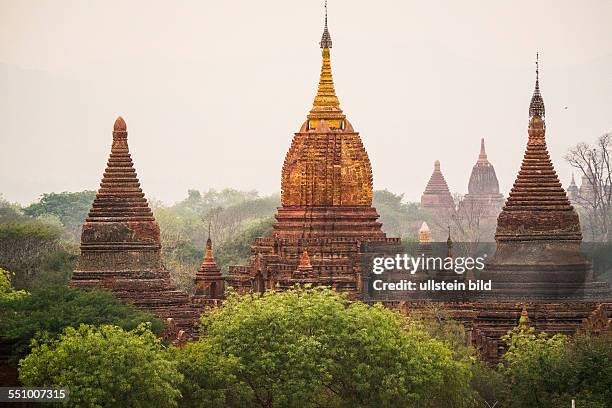 Myanmar, Burma, Birma, Bagan, Pagan, Arimaddanapura, historische Koenigsstadt, Nominierung als Weltkulturerbe, geschichtstraechtige Ebene mit...