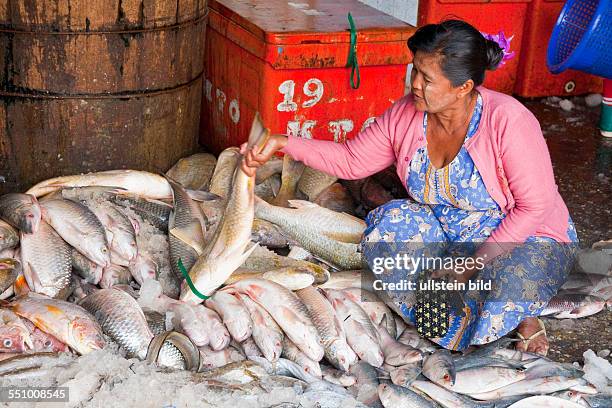 Myanmar, Burma, Birma, Yangoon, Aufnahmedatum:2013, Asien, Reise, Reiseziel, Fischmarkt Kympyinthein, Markt, Markstand, Verkaufer, Verkaeuferin,...