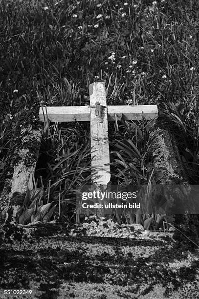 Friedhof der polnischen Stadt Morag