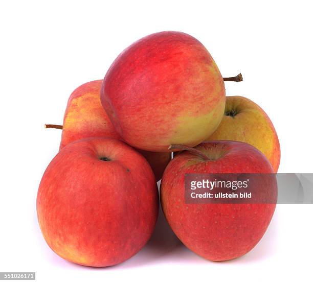 Pinova Aepfel / Äpfel
