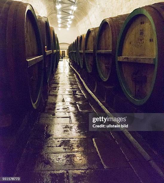 Pilsener Urquell Brauerei: Bier lagert in Holzfässern,