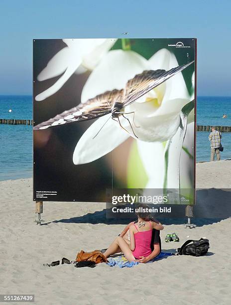 Grossformatige Bilder der Ausstellung Butterfly von Jan Michael Hosan waehrend des Fotofestivals Horizonte am Strand von Zingst. Auf der Halbinsel...