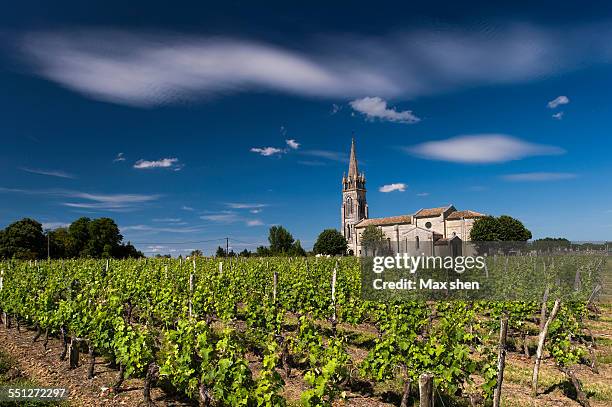 vineyard in bordeaux - bordeaux wine stock-fotos und bilder