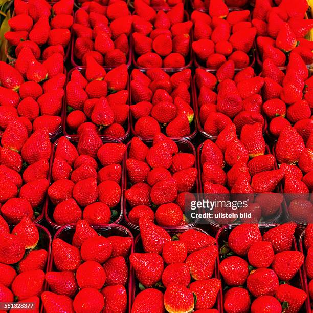 Erdbeeren auf einen Markt für Obst und Gemüse