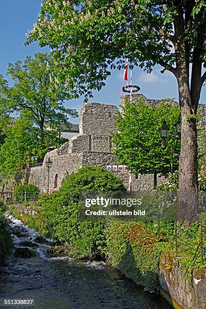Lippspringe castle, ruins, Arminius park, Bad Lippspringe, North Rhine-Westphalia, Germany, Bad Lippspringe is situated on the western slope of the...