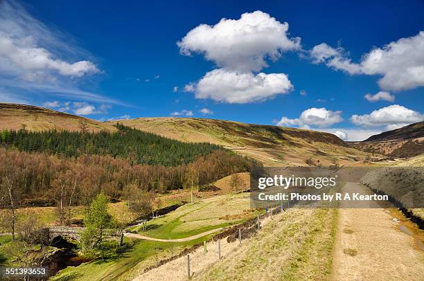 upper derwent valley and slippery stone bridge - パックホースブリッジ ストックフォトと画像