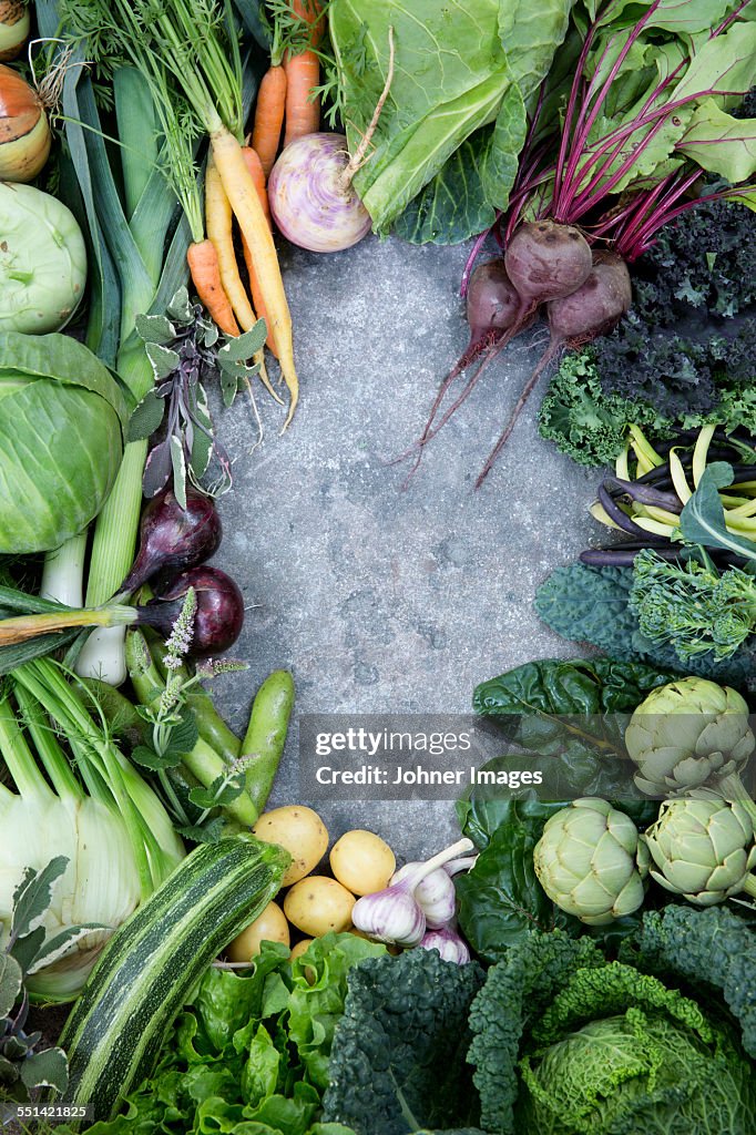 Various vegetables against concrete background