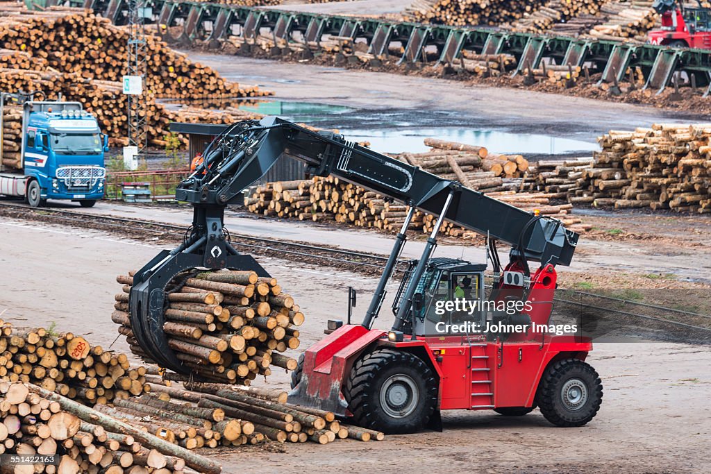 Logging vehicle carrying timber