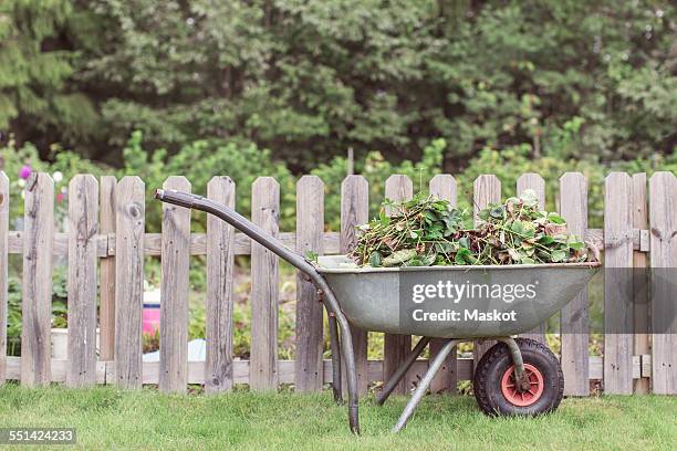 wheelbarrow full of weeds by fence at farm - kruiwagen stockfoto's en -beelden