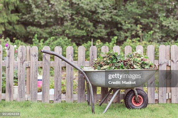 wheelbarrow full of weeds by fence at farm - wheelbarrow stock pictures, royalty-free photos & images