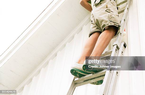 man standing on ladder, low angle view - facade painting stock pictures, royalty-free photos & images