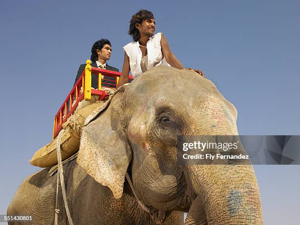 Guy Riding Elephant 230 Df32 Stock Photos, High-Res Pictures, and Images - Getty Images