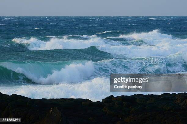 waves in jeju island - jeju island 個照片及圖片檔