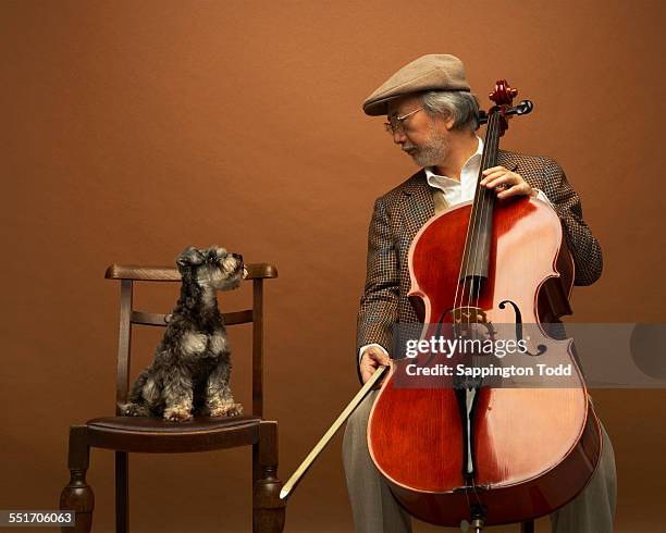 miniature schnauzer and senior man with cello - platte pet stockfoto's en -beelden