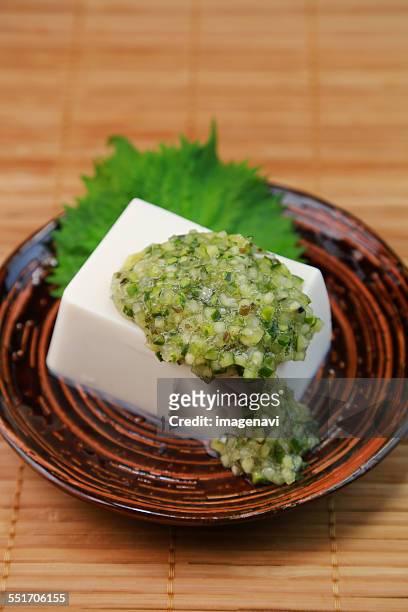 dashi(japan yamagata prefectures traditional vegetable salad) - hiyayakko fotografías e imágenes de stock