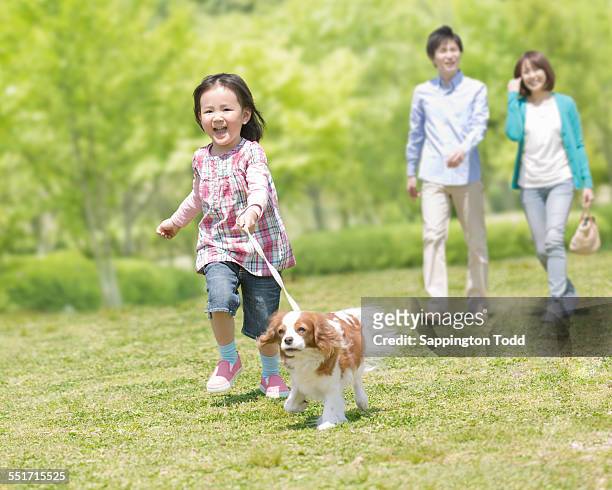 little girl with pet dog - cavalier king charles spaniel stock-fotos und bilder